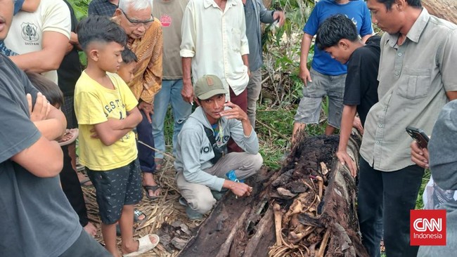 Polisi mengungkap identitas kerangka manusia dalam batang pohon aren di Sergai, Sumatera Utara, yang sudah berusia dua tahun.