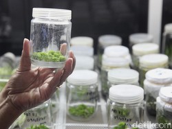 6 Pekerjaan untuk Lulusan STEM yang Menjanjikan pada Masa Depan, Ada Incaranmu?