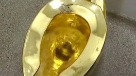 Melihat Toilet Terbuat dari Emas Senilai Rp202,3 Miliar