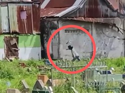 Kesaksian Warga Rumah Dilempari Molotov Saat Tawuran Pecah di Tallo Makassar