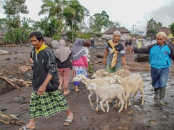 Dahsyat Letusan Semeru Bikin Suradi Kehilangan Ternak-Rumah Porak Poranda