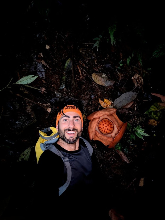 Penemuan Rafflesia hasseltii