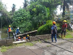 7 Tiang Listrik Roboh Timpa 4 Mobil-Motor di Tanjung Bunga Makassar, 1 Luka