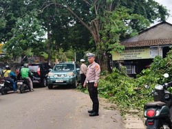Lalin Jalan Cendrawasih Raya Tangsel Sempat Macet Imbas Pohon Tumbang