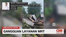 VIDEO: Pohon Tumbang Timpa Atap Jalur Bawah Tanah MRT