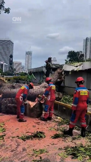 Detik-detik Pohon Tumbang Timpa Atap Jalur Bawah Tanah MRT Senayan
