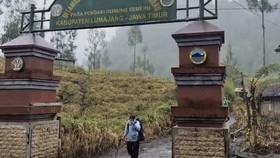 Viral Temuan Macan Jadi Korban Erupsi Semeru, BPBD Sebut Kucing Hutan