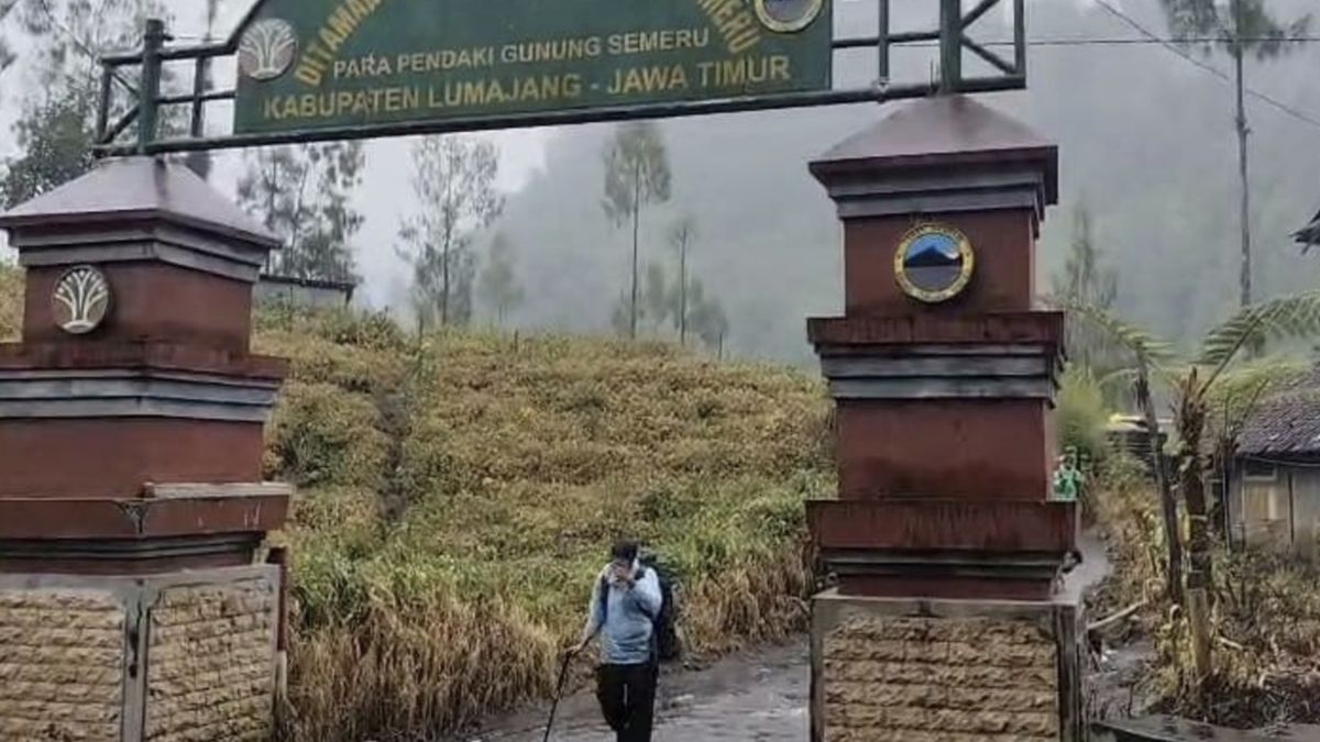Viral Temuan Macan Jadi Korban Erupsi Semeru, BPBD Sebut Kucing Hutan