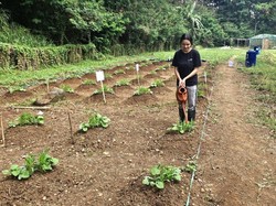 Saat Tugas Akhir Antarkan Rosdiana ke Penghargaan Peneliti Terbaik 2025