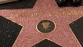 Satu Bintang untuk Chadwick Boseman di Hollywood Walk of Fame