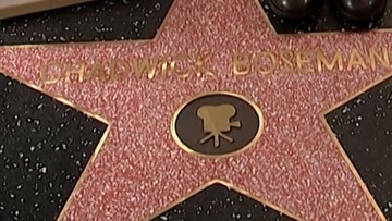 Satu Bintang untuk Chadwick Boseman di Hollywood Walk of Fame