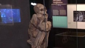 Ada Pameran Mumi di Paris, Datang dari Berbagai Negara