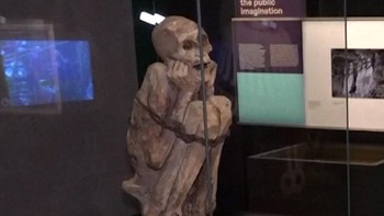 Ada Pameran Mumi di Paris, Datang dari Berbagai Negara