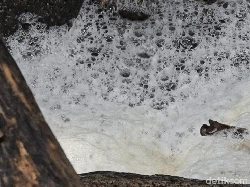 Air Berbusa Keluar dari Gorong-gorong di Pantai Cipatuguran Palabuhanratu