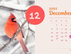 Kalender Desember 2025 Lengkap Jadwal Libur Nasional-Sekolah & Cuti Bersama