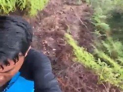 Video: Medan Menantang untuk Temukan Rafflesia hasseltii di Sumbar