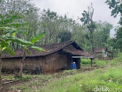 Keseharian 3 Keluarga Hidup 10 Tahun di Pedalaman Hutan Mojokerto-Jombang