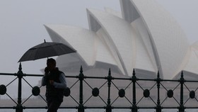 Australia Kacau Balau Diterjang Topan Fina, Ribuan Warga Tanpa Listrik