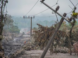 Dampak Erupsi Semeru: 3 Orang Luka Berat hingga 204 Hektare Lahan Rusak
