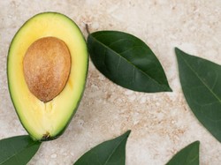 Cara Membuat Rebusan Daun Alpukat, Ternyata Punya Banyak Manfaat bagi Tubuh!