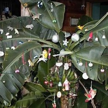 Mengenal Tradisi Menghias Pohon Mangga saat Perayaan Natal di India