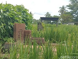Menengok Makam Belanda Alias Bong Londo di Blitar yang Kini Jadi Sawah