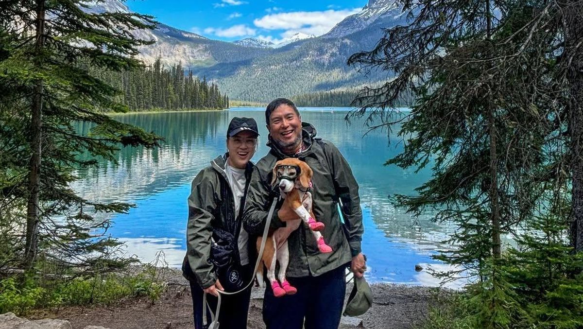 Berhenti Kerja, Pasangan Ini Pilih Keliling Dunia Bersama Anjing