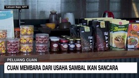 VIDEO: Cuan Membara Dari Usaha Sambal Ikan Sancara