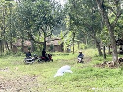 3 Keluarga Manusia Hutan Hidup Berdekatan Tapi Dipisahkan 2 Kabupaten