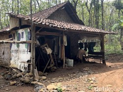 Video: Kehidupan Manusia Hutan di Perbatasan Mojokerto-Jombang