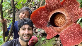 Rafflesia Langka Itu Ditemukan Peneliti RI, Bukan Cuma Ilmuwan Oxford