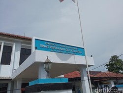 Indramayu Sumbang 30,70% Perikanan Jabar 2024, Target 2025 Meningkat