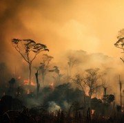 Simak Update Terkini Karhutla di Berbagai Wilayah di Indonesia