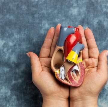 5 Makanan yang Bisa Memperbaiki Fungsi Ginjal, Mudah Ditemukan di Pasar!