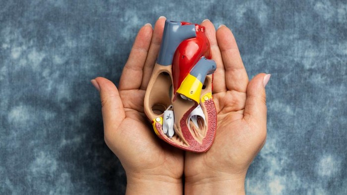 5 Makanan yang Bisa Memperbaiki Fungsi Ginjal, Mudah Ditemukan di Pasar!