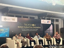 Badan Karantina 1.910 Kali Tolak Bawang Putih-Sapi Impor Tak Penuhi Syarat