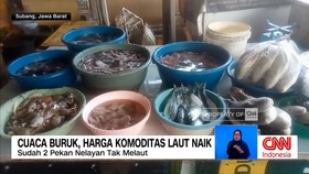 VIDEO: Harga Bahan Pangan Semakin Mahal