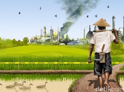 Berjuang Sendiri Usai Terpapar Radiasi