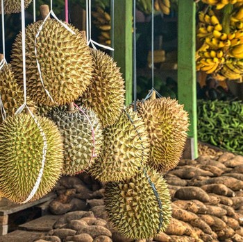 Musim Durian Jangan Kalap, Wapadai 7 Efek Samping Makan Berlebihan!
