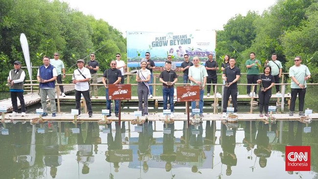 BYD Indonesia bersama komunitas pengguna mobil listrik yaitu Beyond menggelar acara CSR berupa penanaman bibit mangrove di Pantai Indah Kapuk, Jakarta Utara.