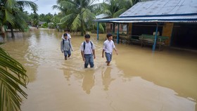 21 Jasad Korban Banjir Ditemukan Hanyut di Sungai Batang Anai Padang