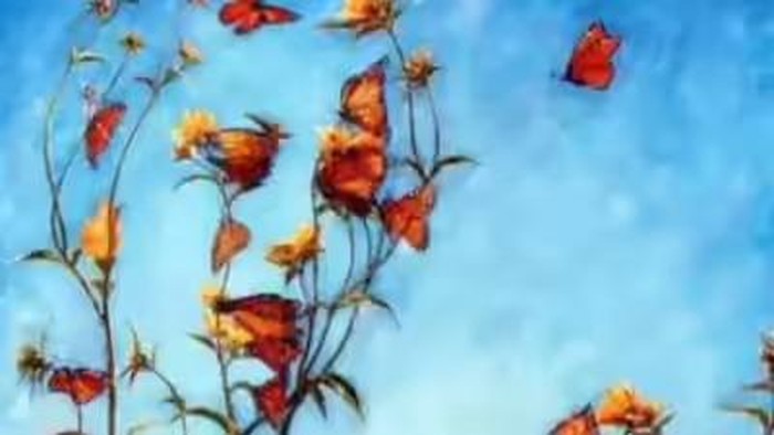 Tes Kepribadian: Gambar Pertama yang Dilihat Ungkap Apa yang Kamu Inginkan Soal Cinta