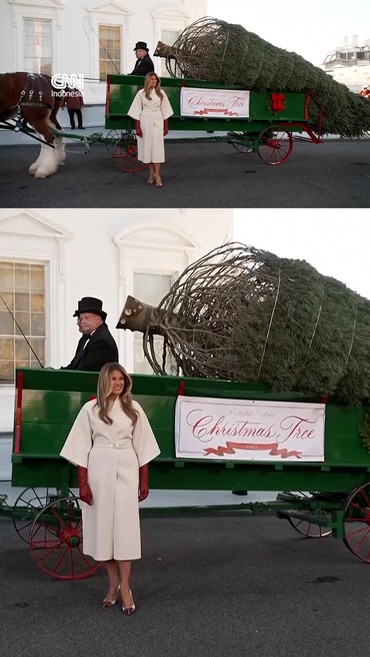 Momen Melania Trump Sambut Kedatangan Pohon Natal di Gedung Putih