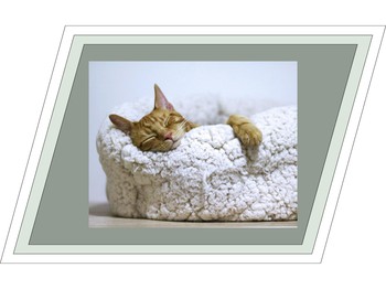 Saat Tidur menjadi Tren dan Bisnis