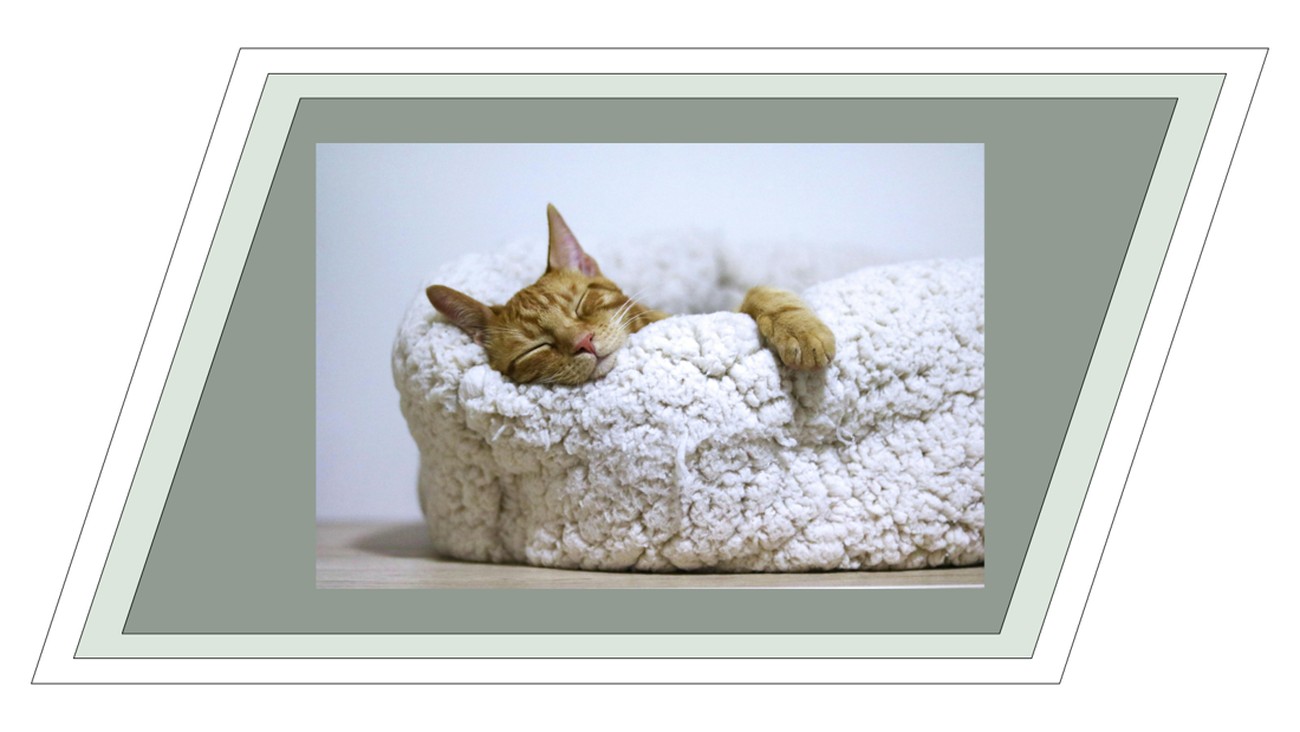 Saat Tidur menjadi Tren dan Bisnis