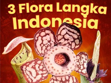 Video: 3 Flora Langka Indonesia yang Bikin Dunia Terpana
