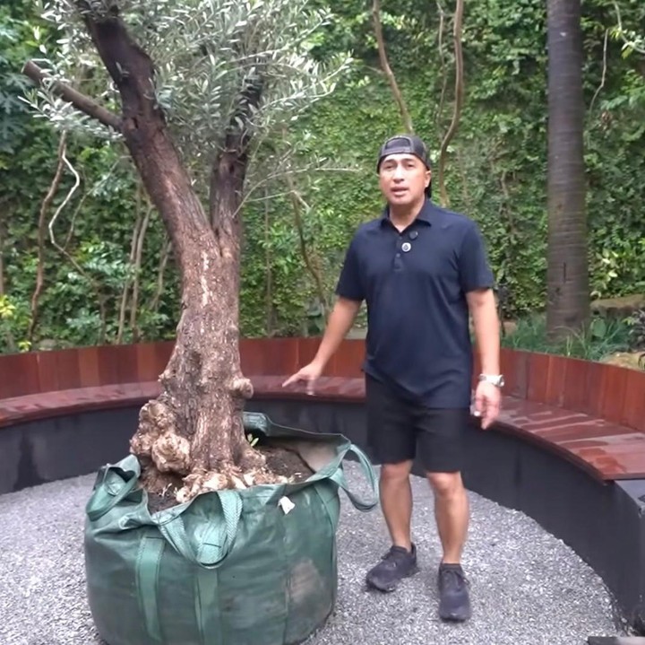 <p>Pria berusia 50 tahun ini menamai pekarangan rumahnya sebagai Taman Sabrina, Bunda. Dalam videonya, Irfan bercerita bahwa rencananya ia ingin menambah koleksi tanaman di halamannya tersebut dengan pohon zaitun. "Pokoknya kita agendanya adalah membuat pot buat pohon zaitun yang ada di tengah kursi bulat," tutur Irfan Hakim. (Foto: Youtube @deHakims)</p>