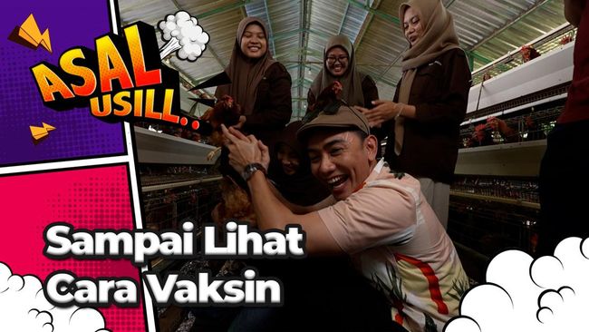 Ketemu Pemilik Peternakan, Belajar Cara Ternak Ayam Petelur