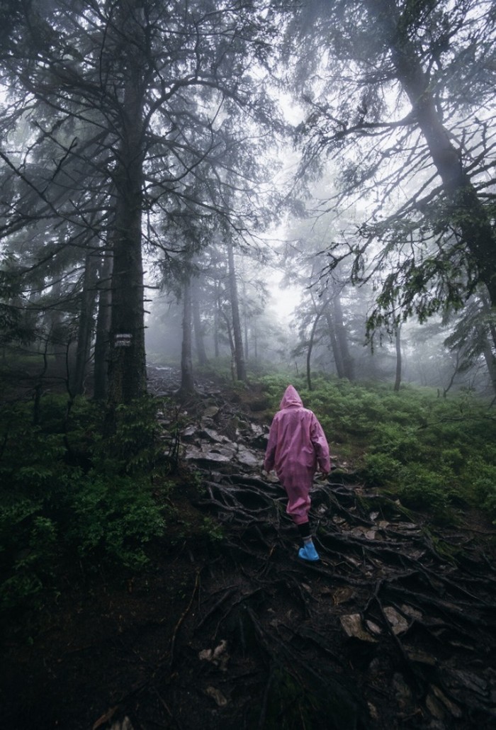 Berteduh di bawah atau di dekat pohon tinggi yang berdiri sendiri dapat berisiko tersambar petir./ Foto: Freepik.com/teksomolika