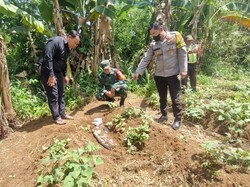 Geger Bangkai Anjing Berkafan di Bogor, Sempat Dikira Mayat Bocah